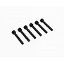 Cap Head Screw M2.5x20mm (6)