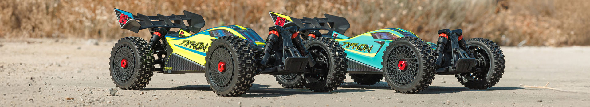 1/8 TYPHON DSC 223S