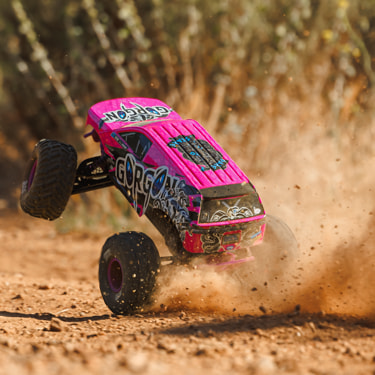 1/10 GORGON 223S 2WD RTR Brushless Monster Truck